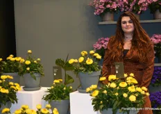 Vivianne de Bruin from MNP Flowers with the 'dried flower' plant. It is a special flower which for now is only available in yellow, but a pink one is on the way.
